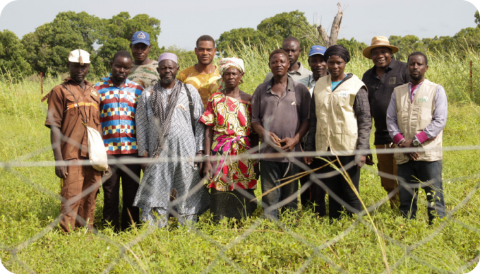 Terre Douce d'Afrique met de vertegenwoordigers van twee boerencoöperaties in Fangasso, Mali