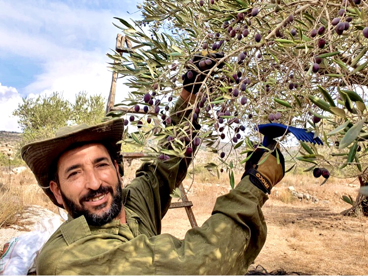 Saad Dagher Saad Dagher