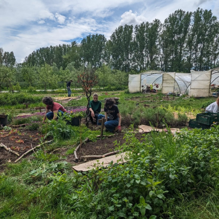 Samen voor agro-ecologie: onze impact in België in 2024
