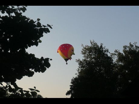 Ballon Marco Van Wesemael