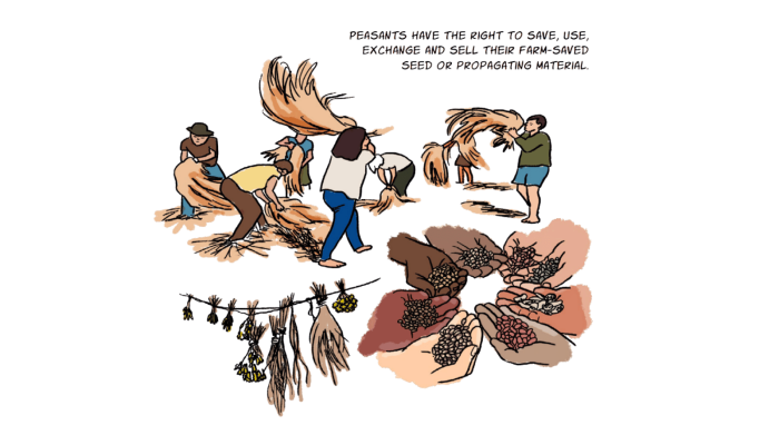 Illustratie van La Via Campesina bij UNDROP