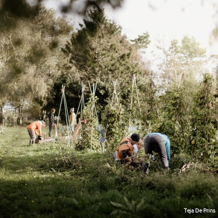Open brief: 'Natuur is een zaak van ons allemaal'