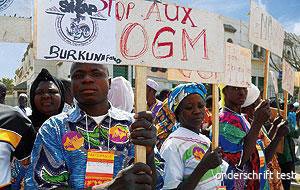 marche-contre-les-OGM-Burkina-Faso.jpg