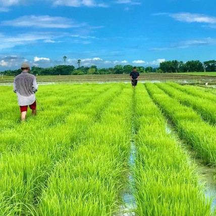 Anti-pesticiden, pro-boeren: de opkomst van agro-ecologie