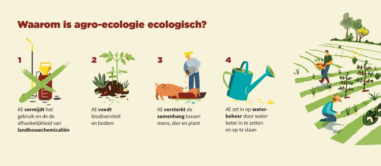 ecologische pijler agro-ecologie