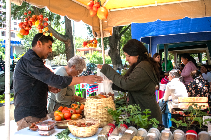 Agro-ecologie markt in Cochabamba, december 2025. Georganiseerd door het departementale comité voor duurzame voedselsystemen in Cochabamba.