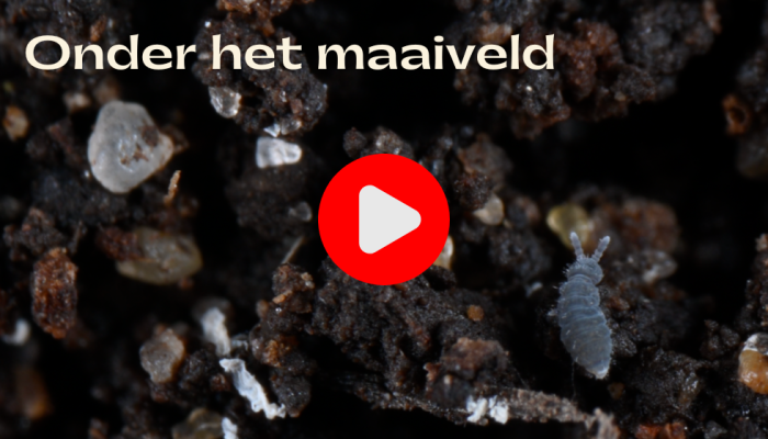 Trailer onder het maaiveld