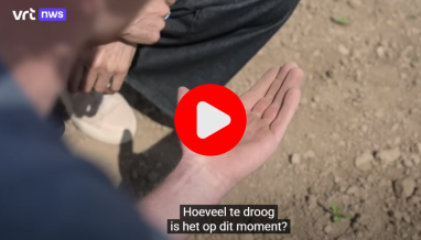 formaat nieuwsbrief procurios, grote afbeelding website, vlagjes (2)