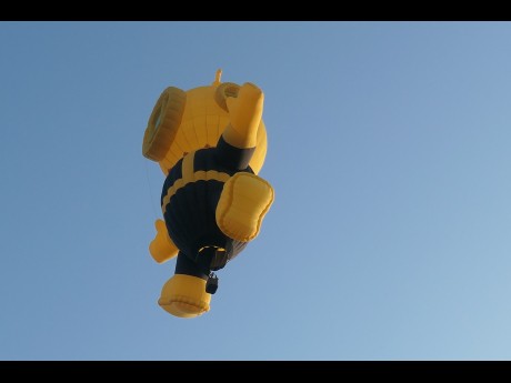 Ballon Marco Van Wesemael