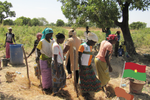 agro-ecologisch composteren in Burkina Faso.png