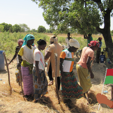 Mijlpaal: agro-ecologisch actieplan in de maak in Burkina Faso