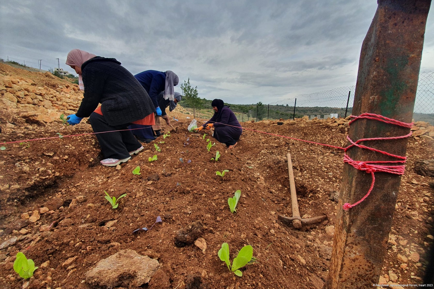 © Palestinian Agroecological Forum, maart 2023