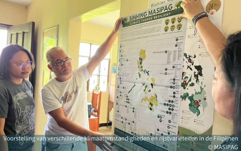Voorstelling van verschillende klimaatomstandigheden en rijstvariëteiten in de Filipijnen