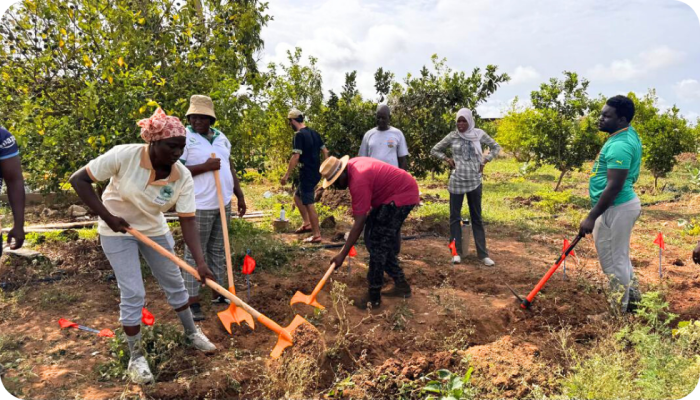 PDC-cursus, juli 2025