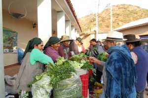 Doña Martina, Doña Idolina, Don Valerio en Don Lorenzo (links op de foto), leden van de producentenorganisatie van het dorp Seivas, gemeente Pasorapa, verkopen hun ecologische producten op de markt, iedere 2e vrijdag van de maand, 11 november 2022, fotograaf Juan Morales (Agrecol).